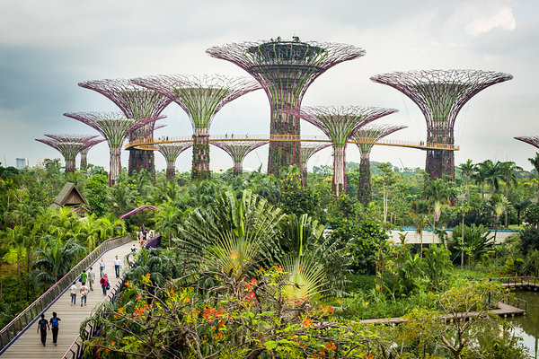 "Sky Greens, Kranji District of Singapore. Spinach and Bok Choy are grown on the towers. Source: Edwin Koo, New York Times, July 10, 2013