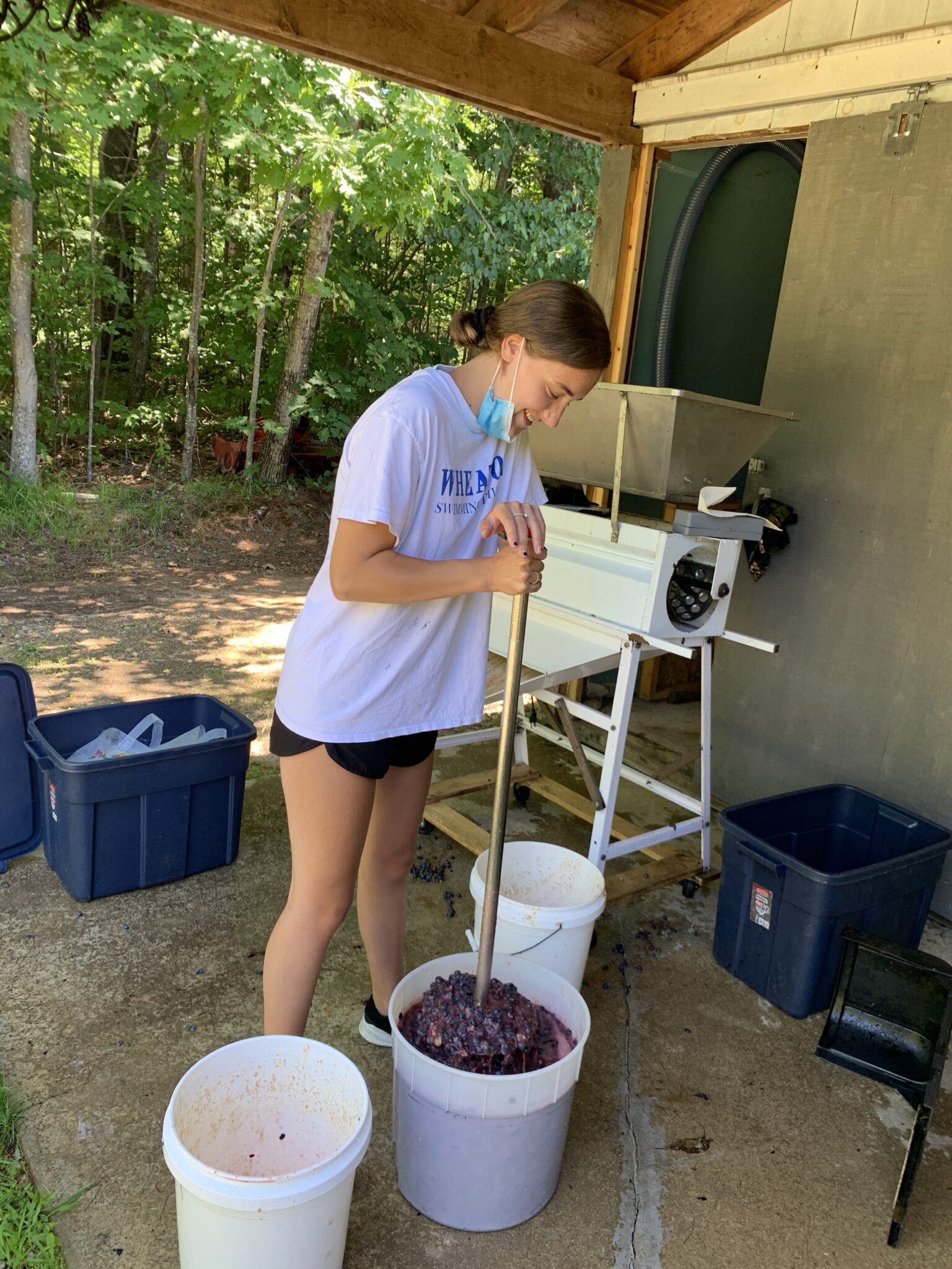 My Internship at Prospect Hill Winery Blog Wheaton College