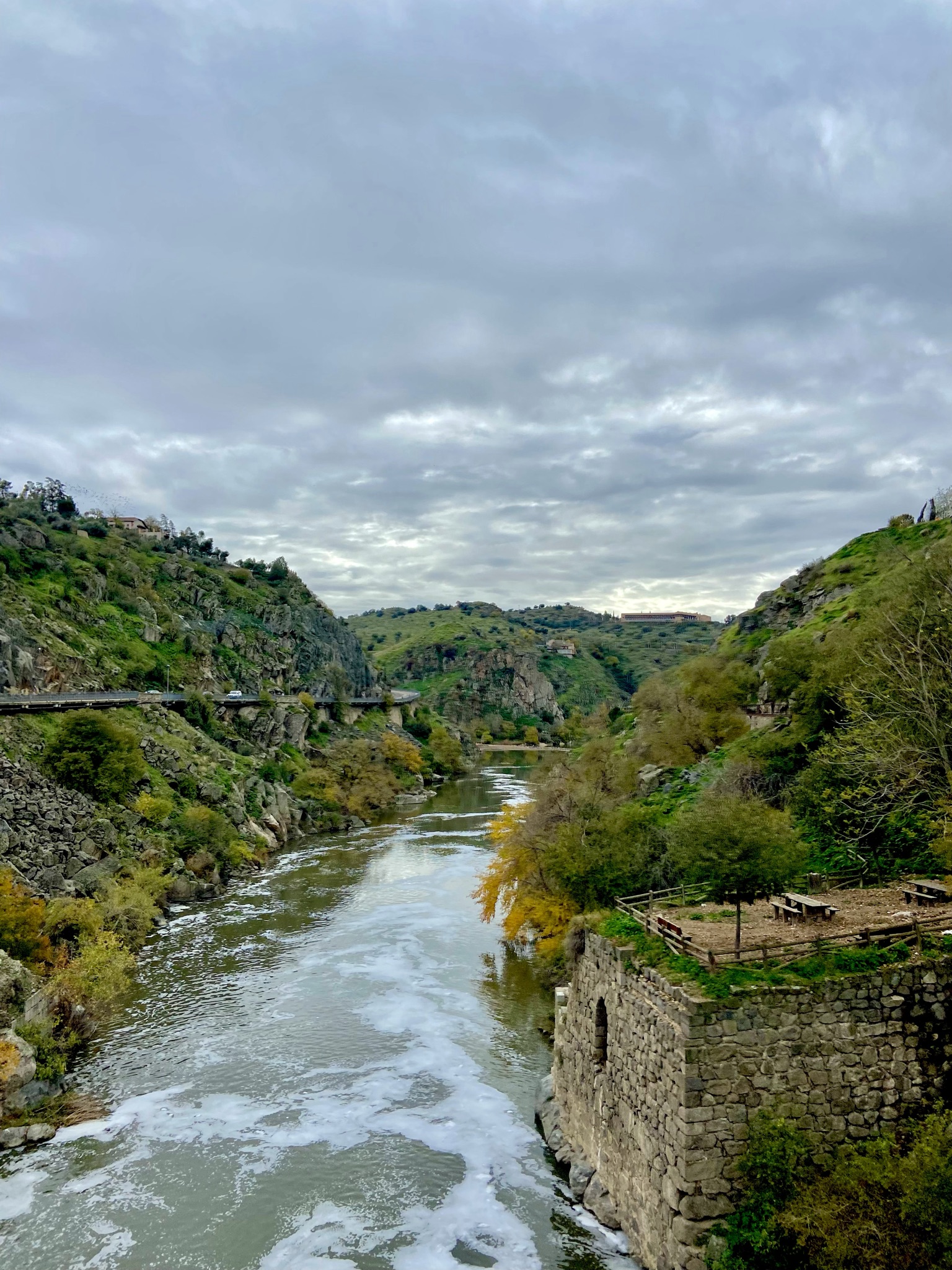 The river that runs outside of Toledo, Spain, with lush green forests on either side
