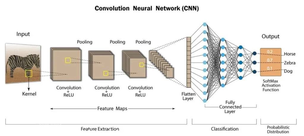 A diagram of a convolution neural network.